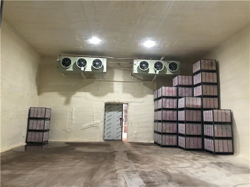 蘋果保鮮庫(kù)